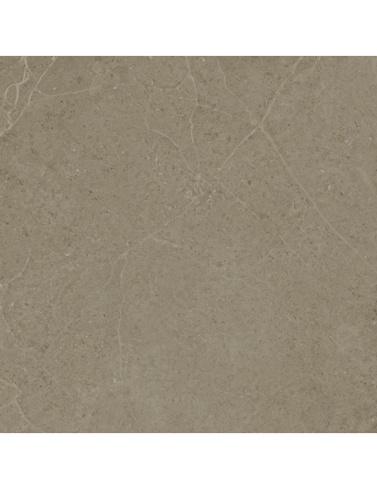 Carrelage effet pierre NOR