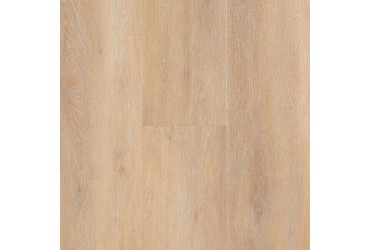 Lame vinyle Spirit Pro GD 55 Elite paquet 10 lames - 3,6m²