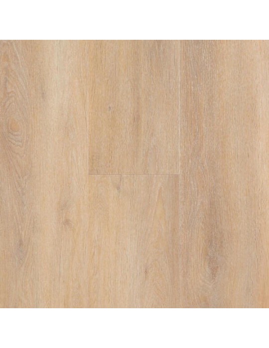 Lame vinyle Spirit Pro GD 55 Elite paquet 10 lames - 3,6m²